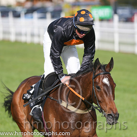 07th The King Of Brega ( 2 , black, orange spot ) and B.M. Cash - Trainer : Patrick Downey - Owner : BMW Partnership