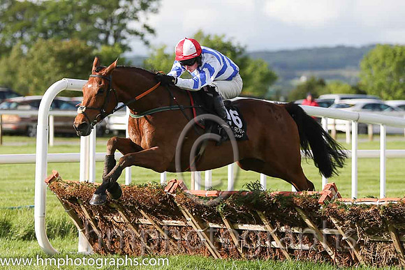 07th Drive The Bus ( 16 , blue and white chevrons ) and D.G. Hogan - Trainer : Denis Gerard Hogan - Owner : Round The Bend Syndicate