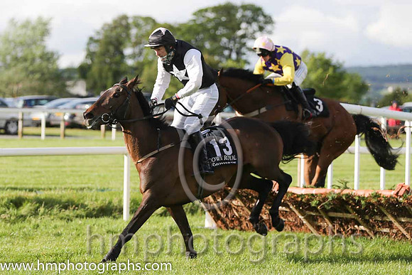 15th Found It ( 13 , black, white star ) and D.T. Atkinson (7) - Trainer : Edward Stanners - Owner : Don Atkinson