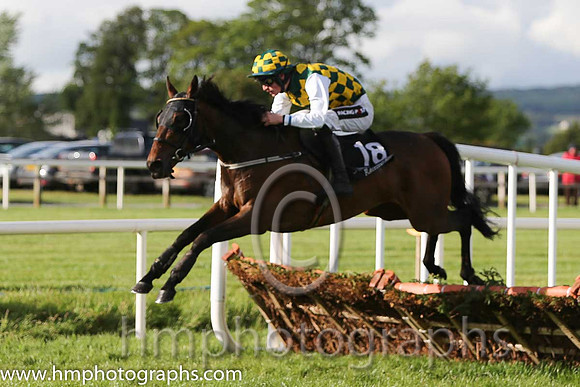16th Theoystercatcher ( 18 , yellow and green check ) and D.E. Mullins - Trainer : P.A.Fahy - Owner : George Moore