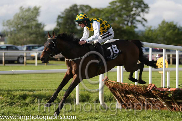 16th Theoystercatcher ( 18 , yellow and green check ) and D.E. Mullins - Trainer : P.A.Fahy - Owner : George Moore