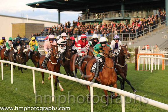 02nd Kalopsia ( 15 , orange and green hoops ) and S. O'Brien (7) - Trainer : A.P.O'Brien - Owner : John P. McManus