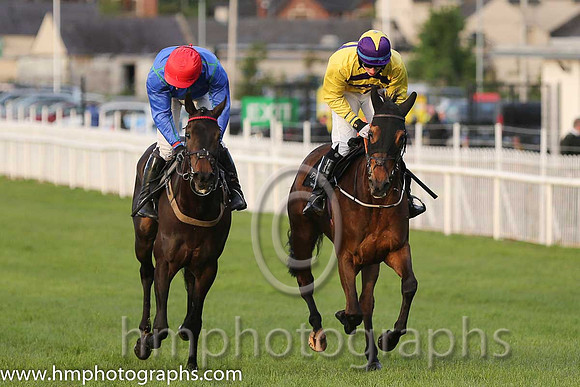 15th Shes Bankable ( 16 , blue and light blue check ) and N. McParlan (5) - Trainer : Thomas J.Farrell - Owner : Pierce Gerard Molony