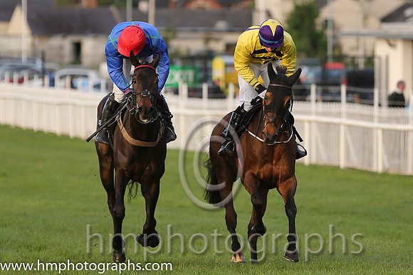 14th Giverwellykelly ( 6 , yellow and purple chevrons ) and S.P. Kelly (7) - Trainer : Noel C. Kelly - Owner : Mrs Christina Kelly