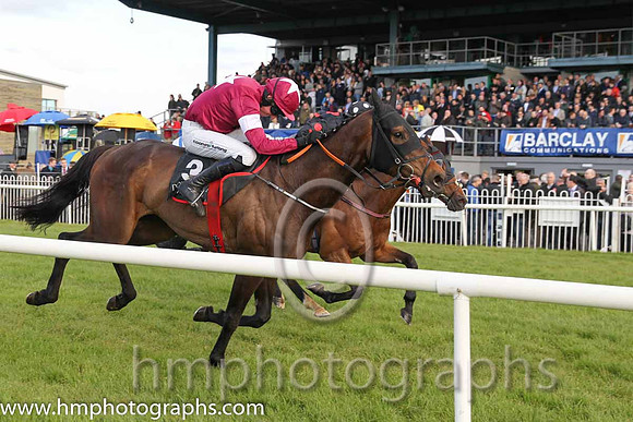 05th Officer Cadet (GB) ( 3 , maroon, white star ) and M.P. Fogarty - Trainer : Gordon Elliott - Owner : Gigginstown House Stud