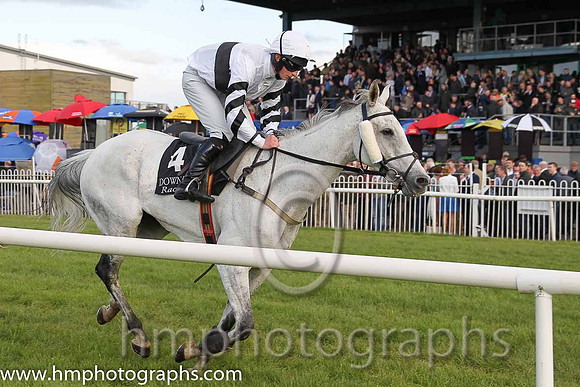 08th Springfield Grey ( 4 , white, black hoop ) and S.J. Crimin (7) - Trainer : Thomas G.Walsh - Owner : Loft Syndicate