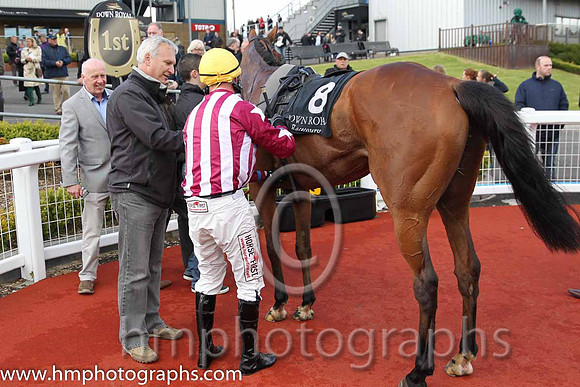 01st Medinah Gold ( 8 , red and white stripes ) and R.M. Power - Trainer : Peter Fahey - Owner : Festival Dreamers Syndicate