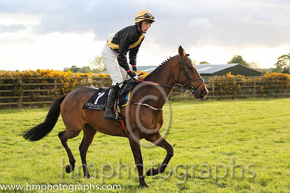 05th Waltz Legend ( 7 , black, yellow sash ) and C.D. Maxwell (3) - Trainer : Liam Lennon - Owner : Niall Delany