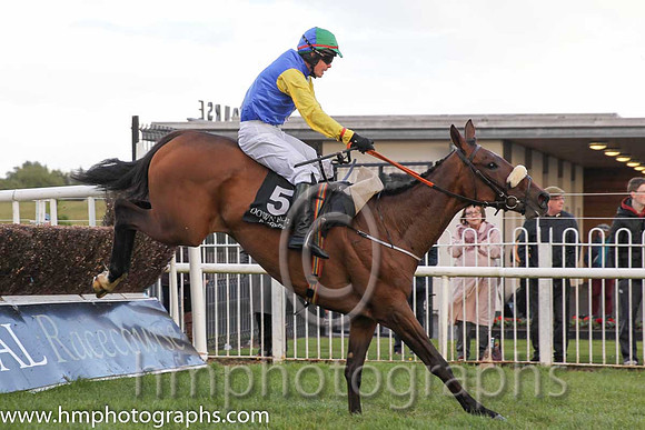 02nd Tiger Bay Lady ( 5 , blue and white halved ) and S.E. Butler (5) - Trainer : Peter Fahey - Owner : Bogmen Syndicate