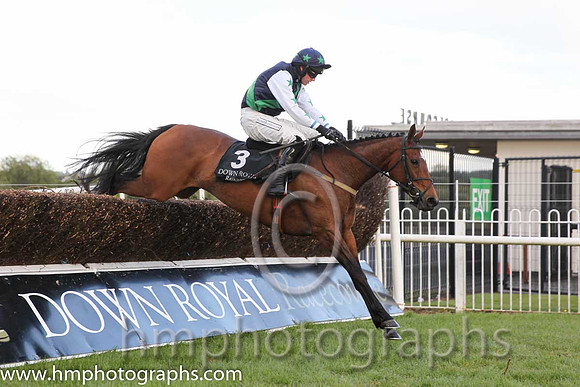 06th Shershewill ( 3 , black, green sash ) and N.P. Madden - Trainer : Aaron Stronge - Owner : Mrs Loretta McCausland