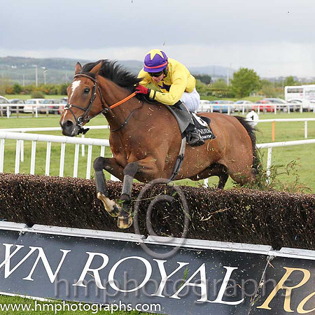 02nd Five O'clock Tea (FR) ( 6 , yellow, purple star ) and Donagh Meyler (7) - Trainer : A.J.Martin - Owner : City Gunners Syndicate