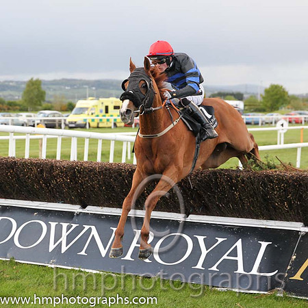 07th Whisky Galore (GB) ( 7 , black and blue hoops ) and D.E. Mullins - Trainer : Niall Moran - Owner : Edric Browne