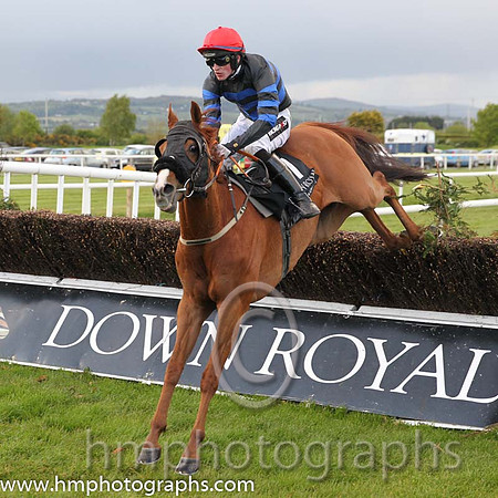 07th Whisky Galore (GB) ( 7 , black and blue hoops ) and D.E. Mullins - Trainer : Niall Moran - Owner : Edric Browne