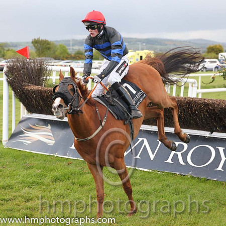 07th Whisky Galore (GB) ( 7 , black and blue hoops ) and D.E. Mullins - Trainer : Niall Moran - Owner : Edric Browne