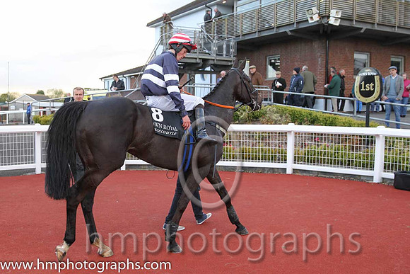 01st As De Pique ( 8 , white and blue hoop ) and J.B. Kane (7) - Trainer : Gavin Cromwell - Owner : Ms. A. Cromwell
