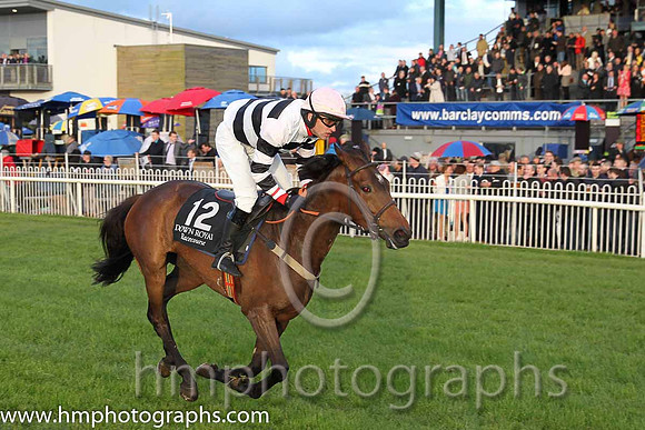 07th Zagnzig ( 12 , black and white hoops ) and N. Gault (7) - Trainer : W J Bryson - Owner : John Bryson