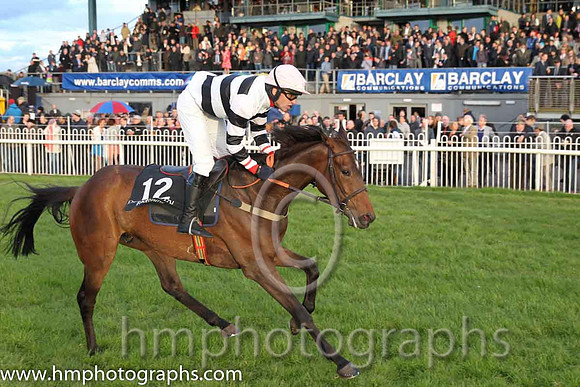 07th Zagnzig ( 12 , black and white hoops ) and N. Gault (7) - Trainer : W J Bryson - Owner : John Bryson