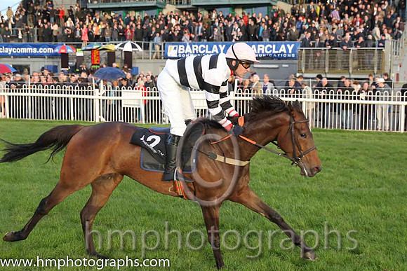 07th Zagnzig ( 12 , black and white hoops ) and N. Gault (7) - Trainer : W J Bryson - Owner : John Bryson