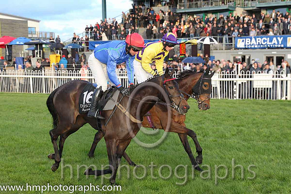 15th Shes Bankable ( 16 , blue and light blue check ) and N. McParlan (5) - Trainer : Thomas J.Farrell - Owner : Pierce Gerard Molony