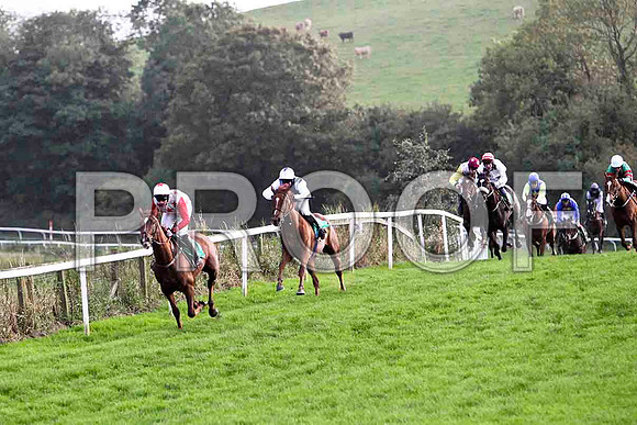 Bridgets Pet - Winner - FT8E5084-e2