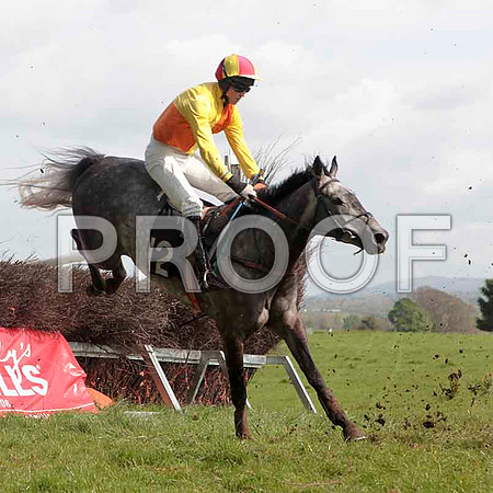 Lynx Edition - PU, Jockey - J C Barry - CU2D4610-e