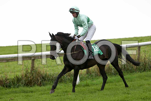 To the Left , Jockey R J Jones - 5th - CU2D2291-e