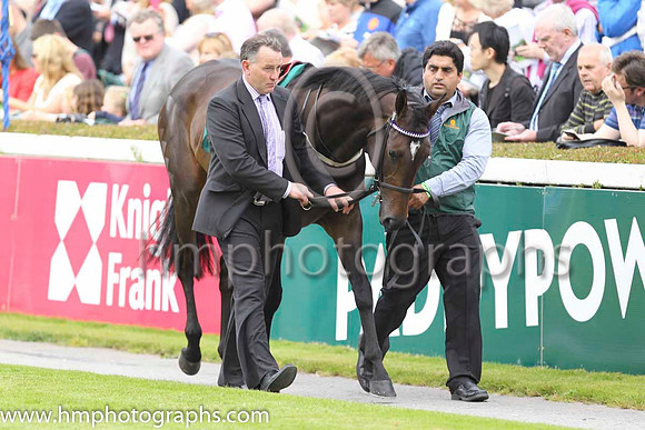 Race 1 at Leopardstown on Champions Day
