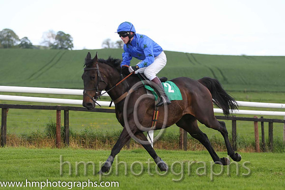 04th Cabra Boy ( 2 , blue, black stars ) and W.J. Boyes (7) - Trainer : Alan A.H. Wells - Owner : Alan A.H. Wells