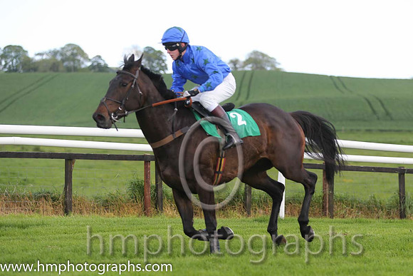 04th Cabra Boy ( 2 , blue, black stars ) and W.J. Boyes (7) - Trainer : Alan A.H. Wells - Owner : Alan A.H. Wells