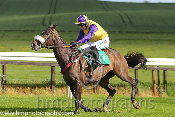 01st Haddington Road ( 7 , yellow, purple sleeves ) and Andrew J. McNamara - Trainer : Mrs D.A.Love - Owner : Ms. Salome M. Brennan