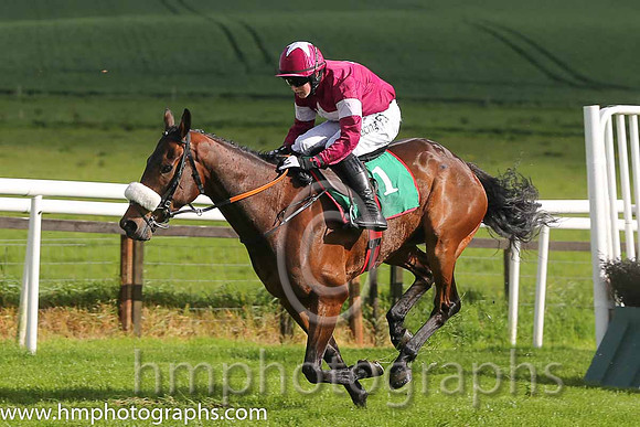 02nd Ultimate Horseman ( 1 , maroon, white star ) and B.J. Cooper - Trainer : Gordon Elliott - Owner : Gigginstown House Stud