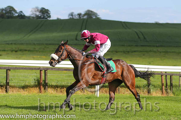 02nd Ultimate Horseman ( 1 , maroon, white star ) and B.J. Cooper - Trainer : Gordon Elliott - Owner : Gigginstown House Stud