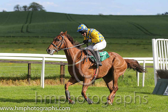 06th Colourful Hawk ( 3 , yellow and blue check ) and T.P. Treacy - Trainer : H. Smyth - Owner : H. Smyth