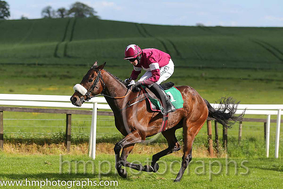 04th Cabra Boy ( 2 , blue, black stars ) and W.J. Boyes (7) - Trainer : Alan A.H. Wells - Owner : Alan A.H. Wells