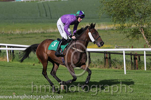 03rd Halls Bridge ( 3 , purple, green cross ) and G.N. Fox (3) - Trainer : Shane Kieran Ryder - Owner : Denis Hannon