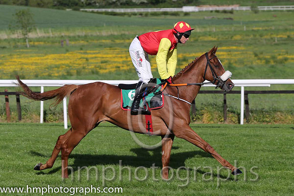 01st Be Seeing You (GB) ( 6 , red, yellow diamond ) and P. Carberry - Trainer : Gordon Elliott - Owner : Call It What You LikeSyndicate
