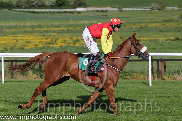 01st Be Seeing You (GB) ( 6 , red, yellow diamond ) and P. Carberry - Trainer : Gordon Elliott - Owner : Call It What You LikeSyndicate