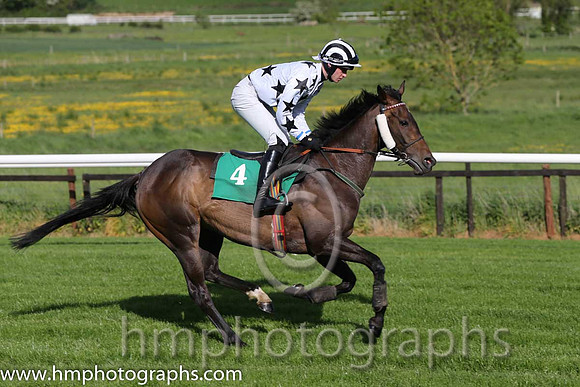 05th Binowagh Bay ( 4 , white, blue stars ) and D.J. Mullins (5) - Trainer : Brian M. McMahon - Owner : Michael Feeney