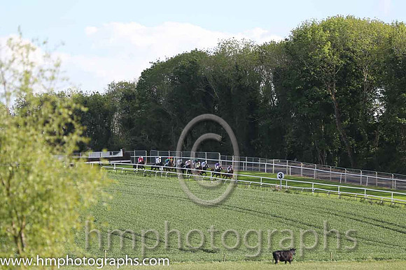 Race 2 at Downpatrick