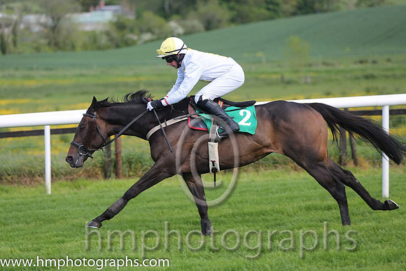 10th News For Pascal ( 2 , white, yellow stripe ) and C.D. Maxwell (3) - Trainer : Stephen Francis Magee - Owner : Cathal M. McGovern