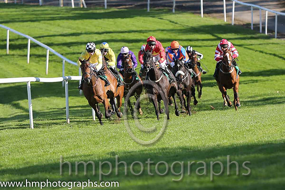 07th Sue And Isi ( 8 , yellow ) and J.J. Burke - Trainer : J.J.Lambe - Owner : Patrick J. McKenna