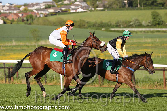 06th PU Mr Responsible ( 4 , white, orange disc ) and K.M. Donoghue - Trainer : T.G.McCourt - Owner : Ms. Susanna McCaffrey
