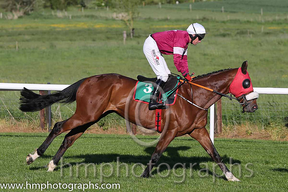 01st Fort Smith ( 3 , maroon, white star ) and P. Carberry - Trainer : Gordon Elliott - Owner : Gigginstown House Stud