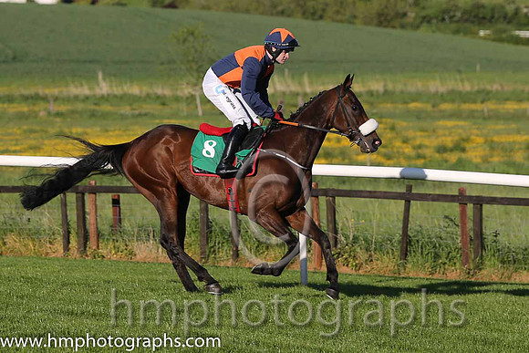 07th B Tom's Article ( 8 , blue and orange qtrd ) and K.C. Sexton - Trainer : Gordon Elliott - Owner : Mrs Emer O'Brien