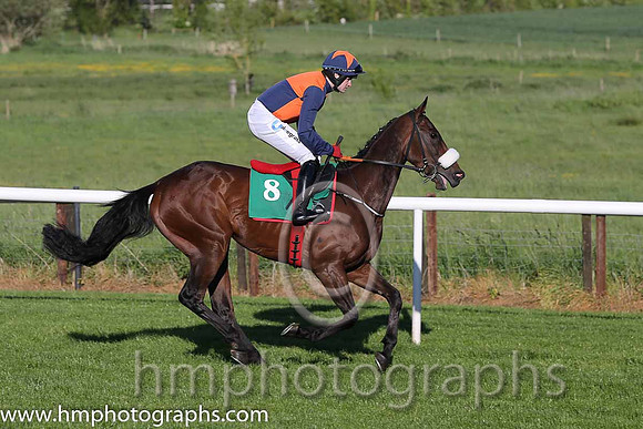 07th B Tom's Article ( 8 , blue and orange qtrd ) and K.C. Sexton - Trainer : Gordon Elliott - Owner : Mrs Emer O'Brien