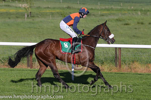 07th B Tom's Article ( 8 , blue and orange qtrd ) and K.C. Sexton - Trainer : Gordon Elliott - Owner : Mrs Emer O'Brien