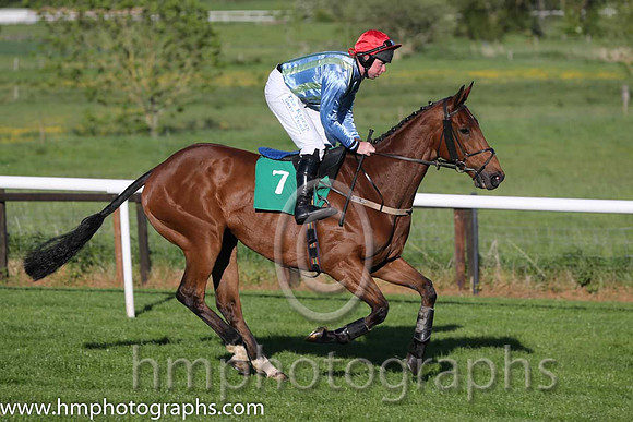 03rd The Cub ( 7 , green and blue stripes ) and A.E. Lynch - Trainer : Thomas O'Neill - Owner : Party Boys Syndicate