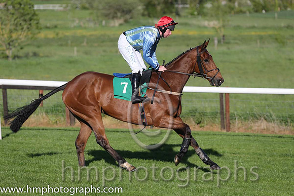 03rd The Cub ( 7 , green and blue stripes ) and A.E. Lynch - Trainer : Thomas O'Neill - Owner : Party Boys Syndicate
