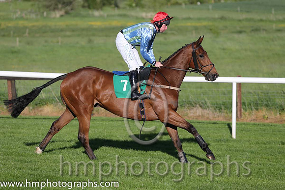 03rd The Cub ( 7 , green and blue stripes ) and A.E. Lynch - Trainer : Thomas O'Neill - Owner : Party Boys Syndicate
