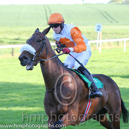 06th PU Mr Responsible ( 4 , white, orange disc ) and K.M. Donoghue - Trainer : T.G.McCourt - Owner : Ms. Susanna McCaffrey